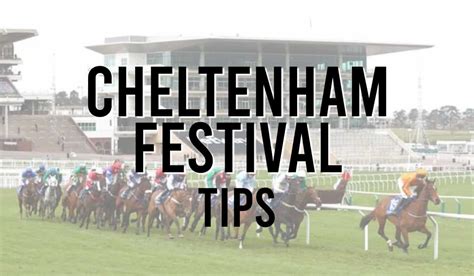 top tips for cheltenham